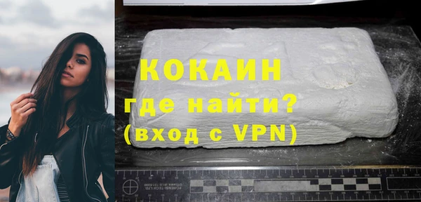 шишки Инта