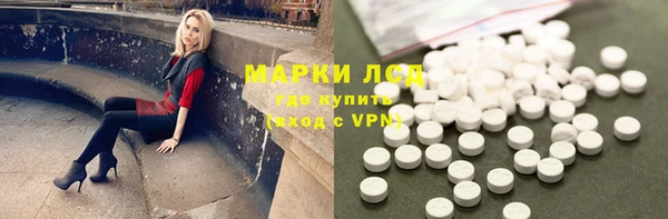 PSILOCYBIN Инсар