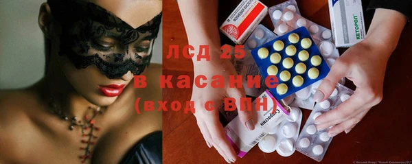 PSILOCYBIN Инсар
