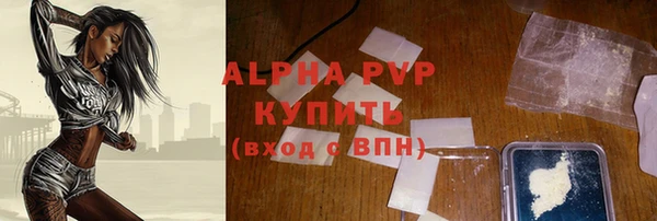 шишки Инта