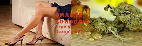 шишки Инта