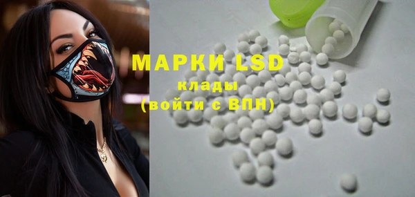 шишки Инта
