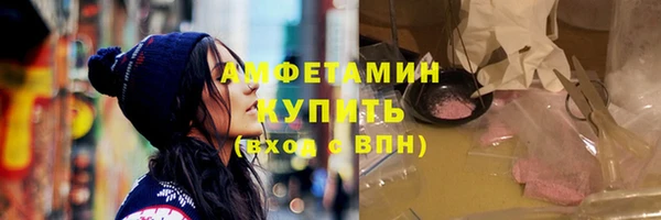 шишки Инта