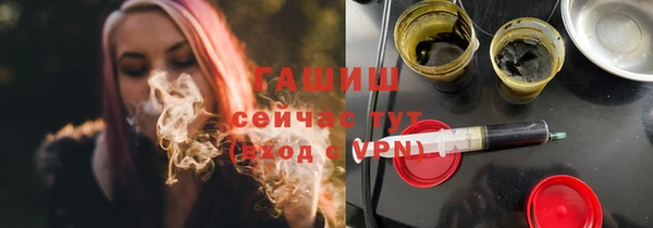 шишки Инта