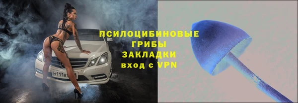 стафф Иннополис