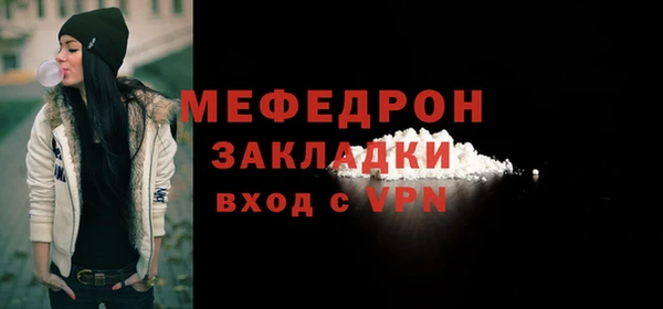 шишки Инта