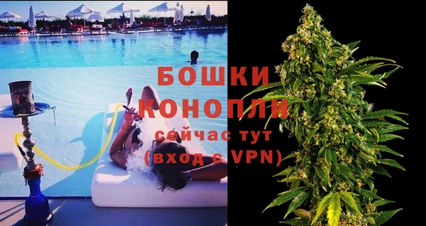 шишки Инта