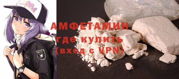 шишки Инта