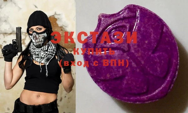 шишки Инта