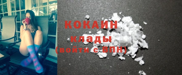 шишки Инта