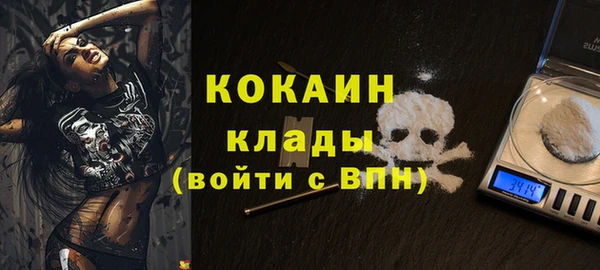 стафф Иннополис