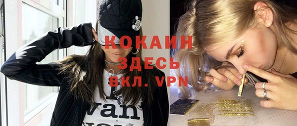 шишки Инта