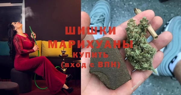 PSILOCYBIN Инсар