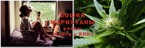 шишки Инта
