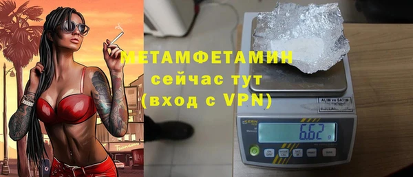 шишки Инта