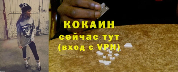 шишки Инта