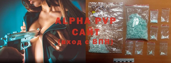 шишки Инта