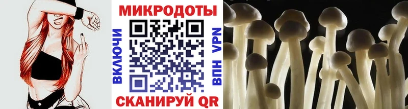 Купить  Зея  Галлюциногенные грибы GOLDEN TEACHER 